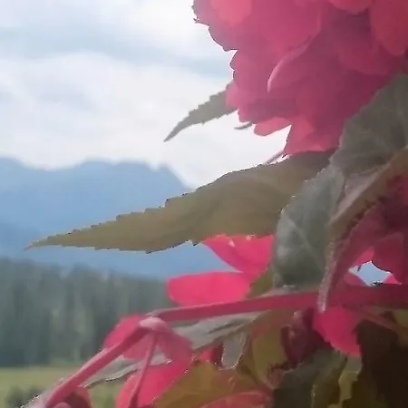 Goscina Na Wierchu * Murzasichle